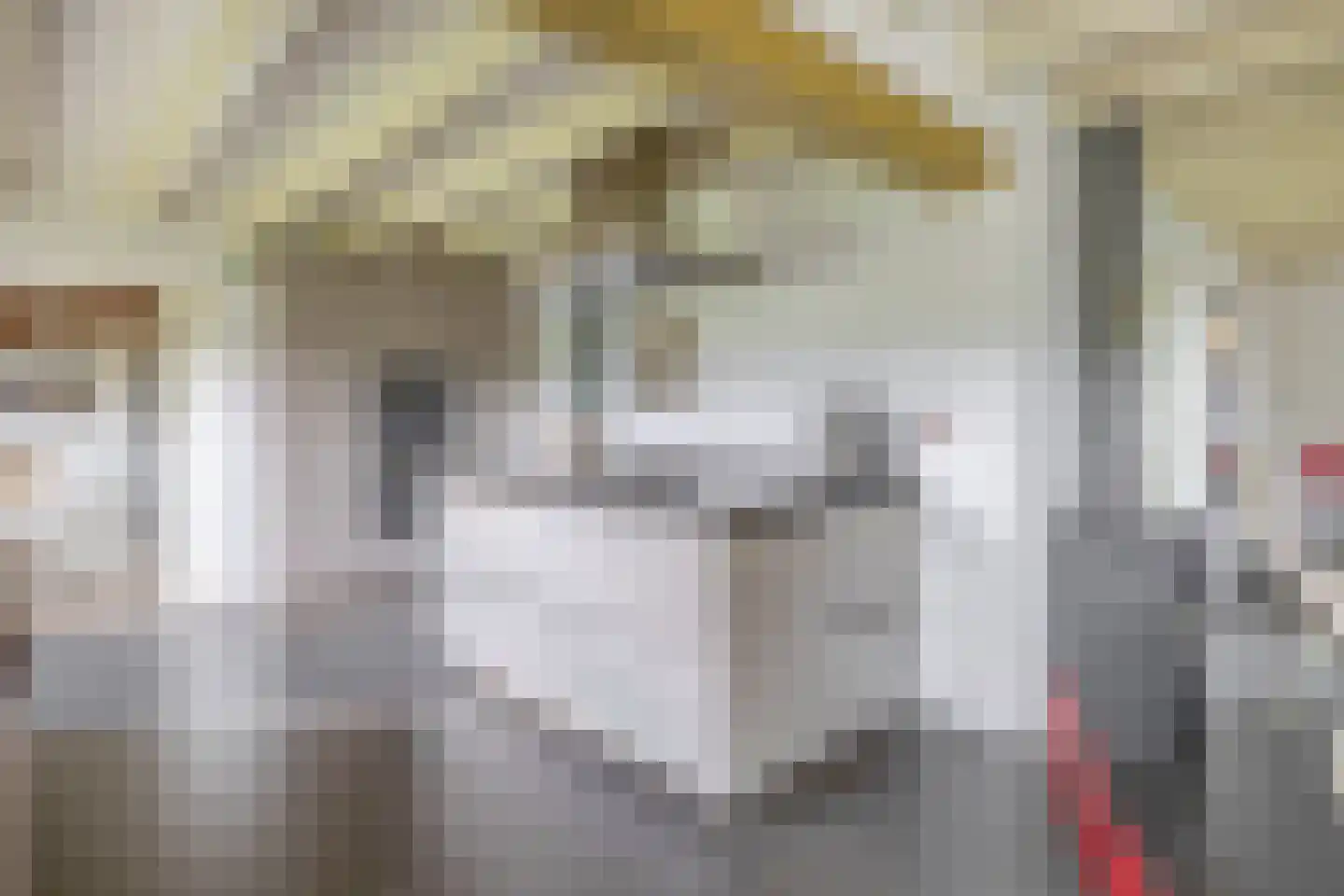 Eind 11 Riethoven thumbnail 11