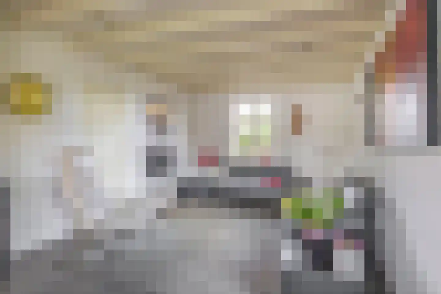 Eind 11 Riethoven thumbnail 20