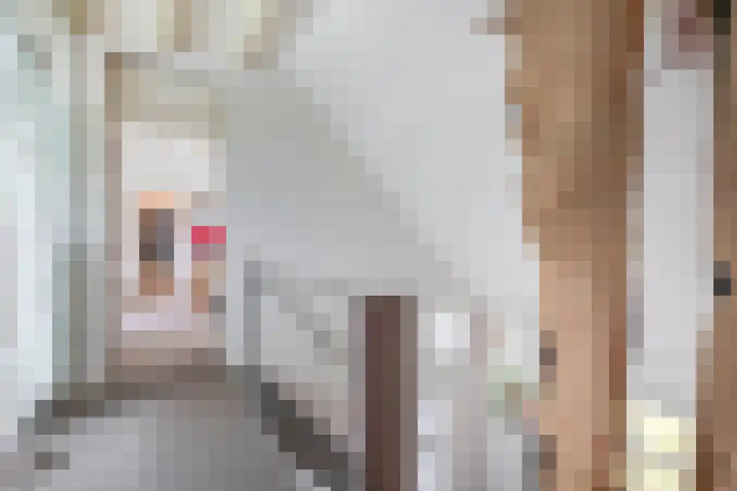 Eind 11 Riethoven thumbnail 35