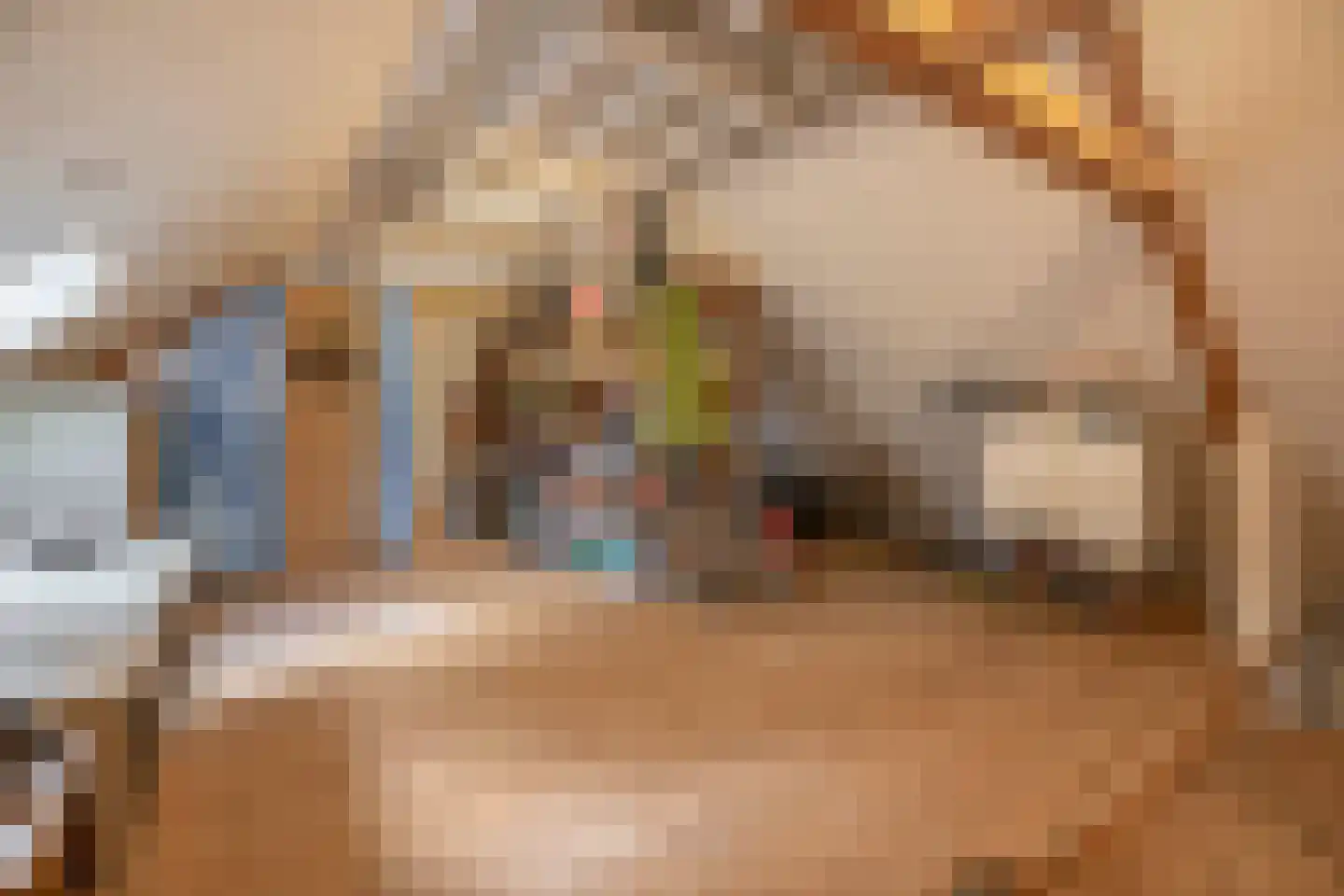 Eind 11 Riethoven thumbnail 46