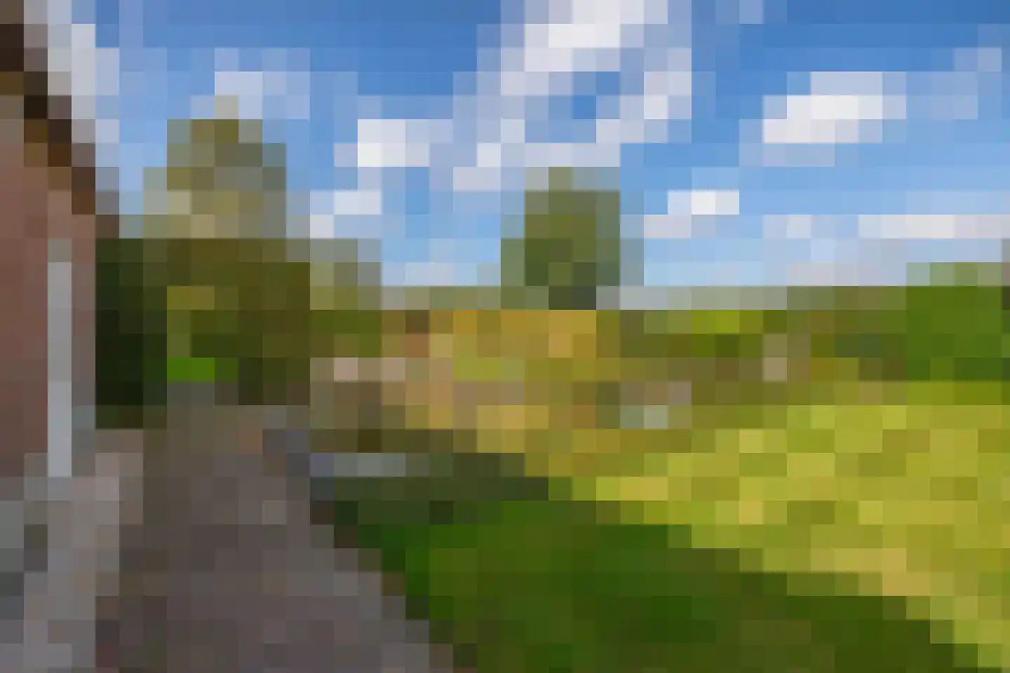 Eind 11 Riethoven thumbnail 47