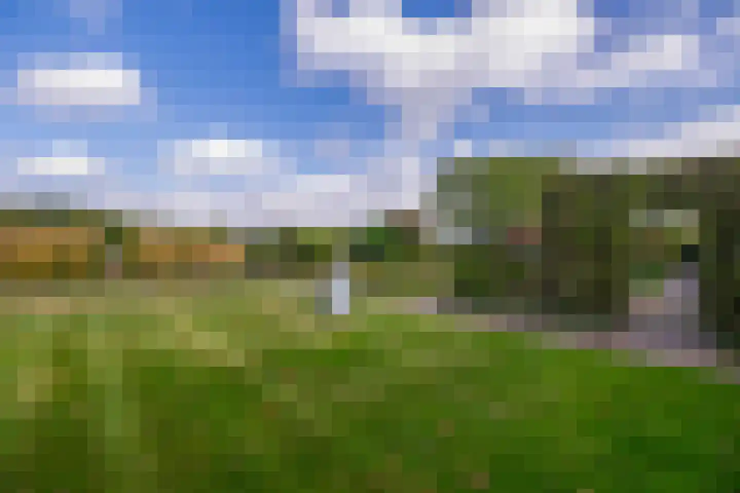 Eind 11 Riethoven thumbnail 49
