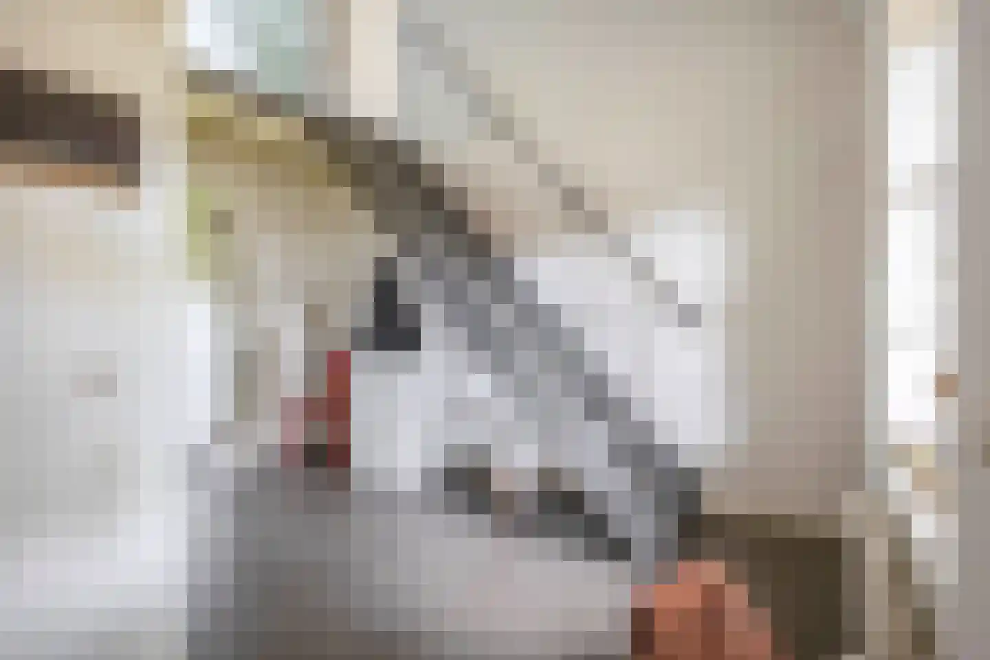 Eind 11 Riethoven thumbnail 5