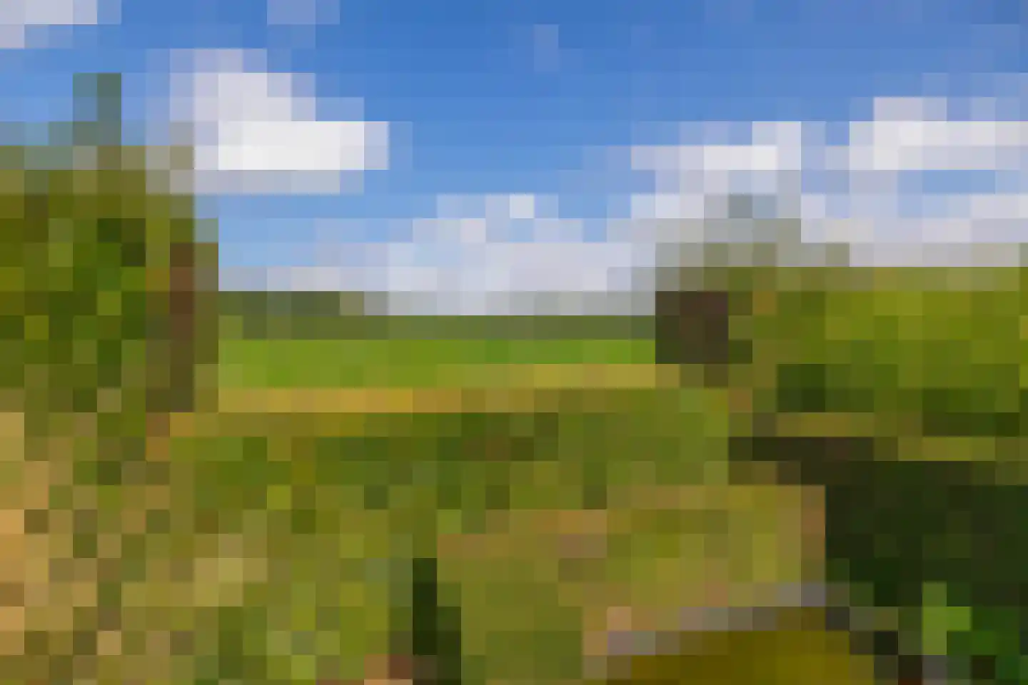 Eind 11 Riethoven thumbnail 54