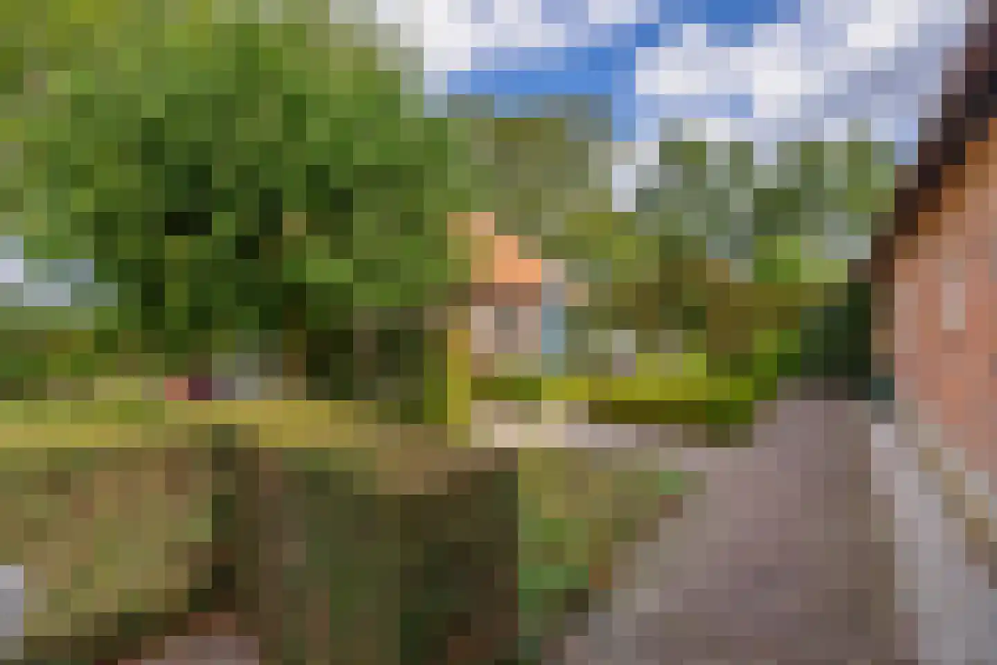 Eind 11 Riethoven thumbnail 55