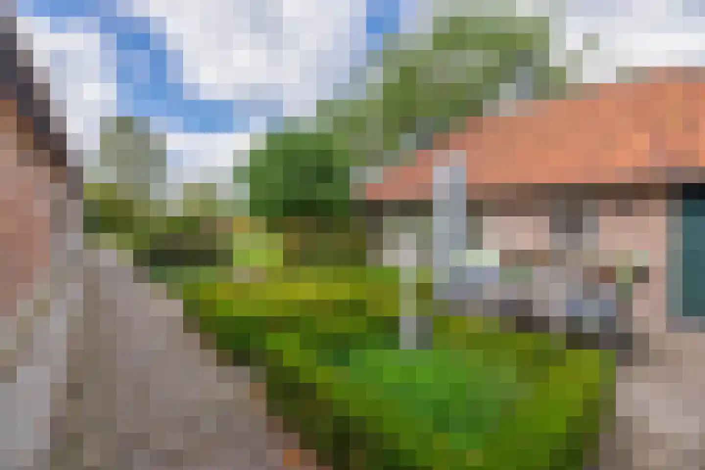 Eind 11 Riethoven thumbnail 56