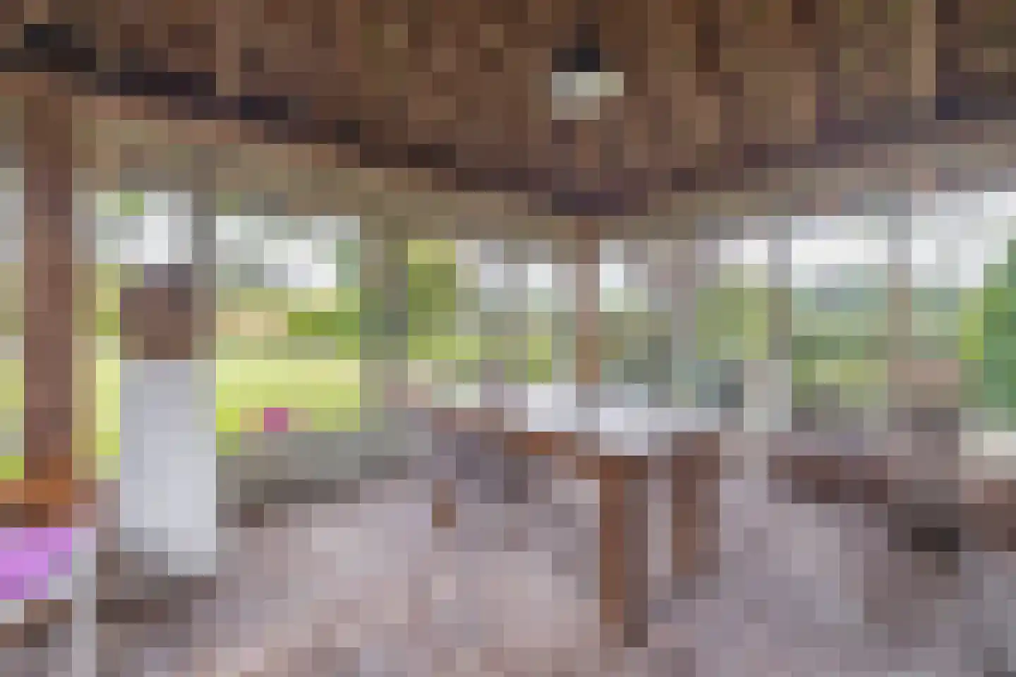 Eind 11 Riethoven thumbnail 57