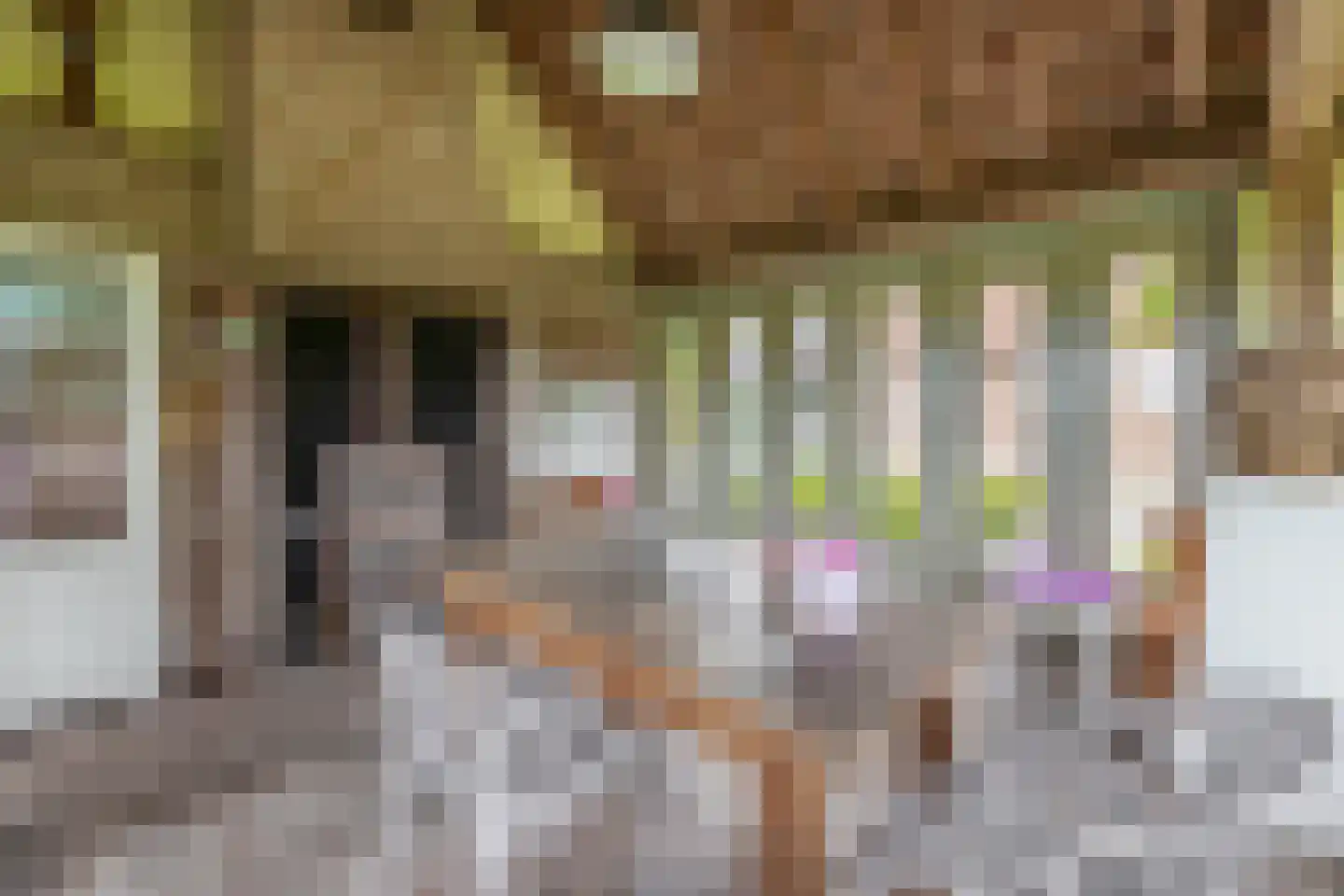 Eind 11 Riethoven thumbnail 58
