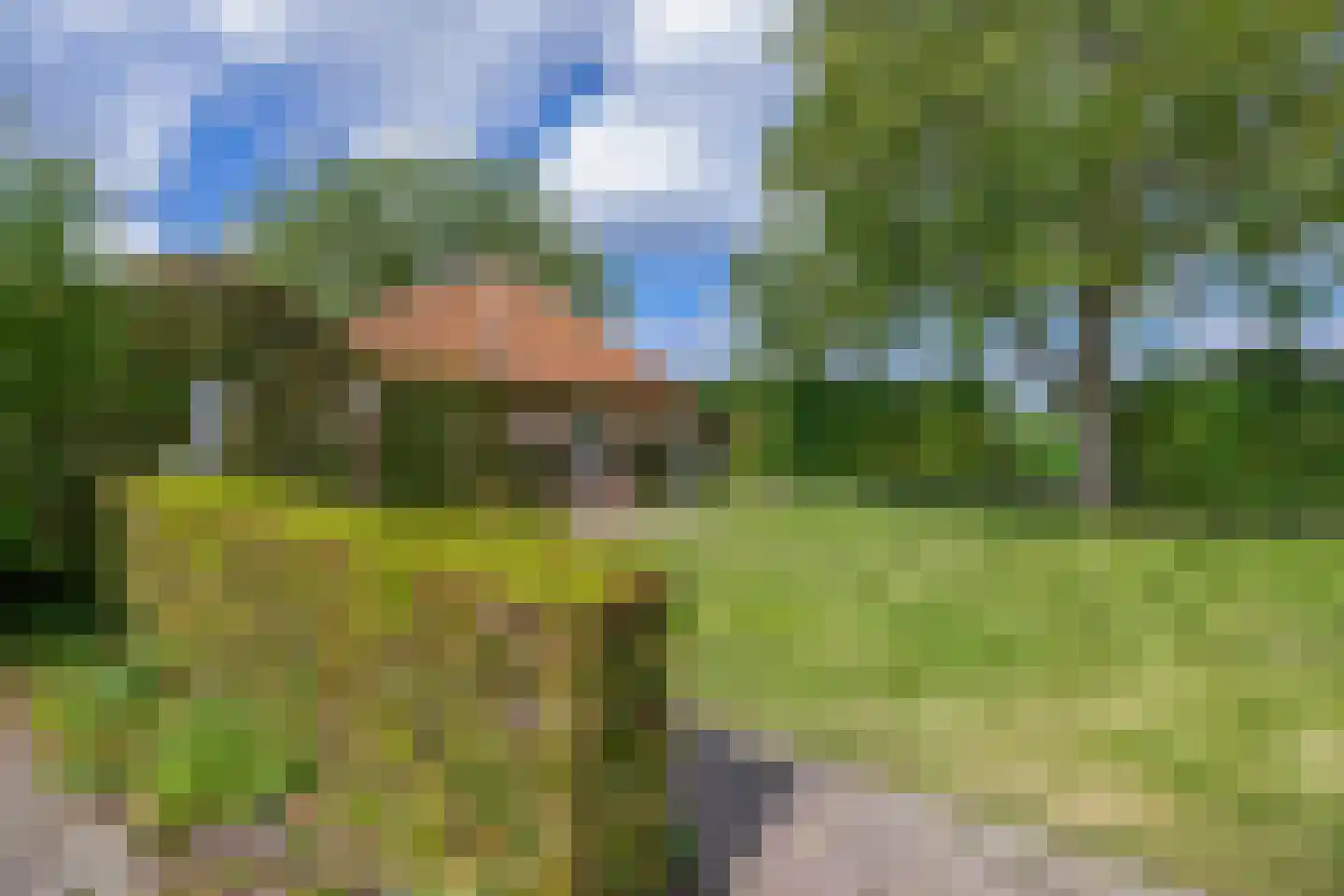 Eind 11 Riethoven thumbnail 63