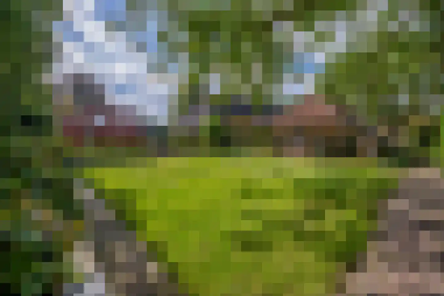 Eind 11 Riethoven thumbnail 65