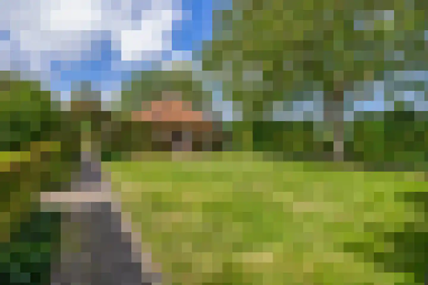 Eind 11 Riethoven thumbnail 69