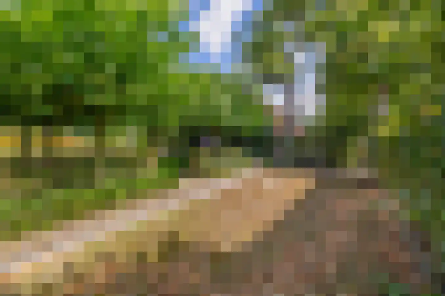 Eind 11 Riethoven thumbnail 71