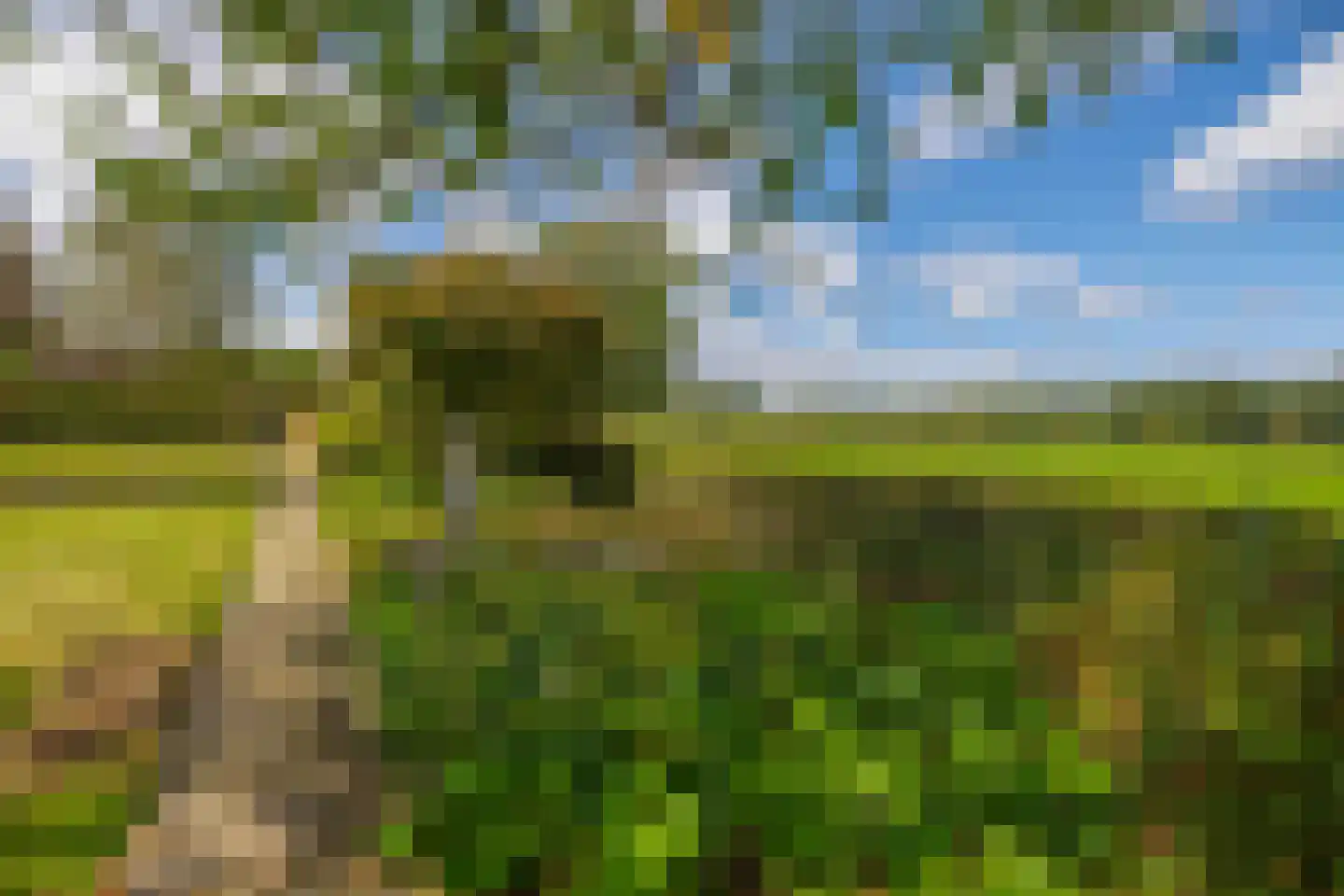Eind 11 Riethoven thumbnail 72