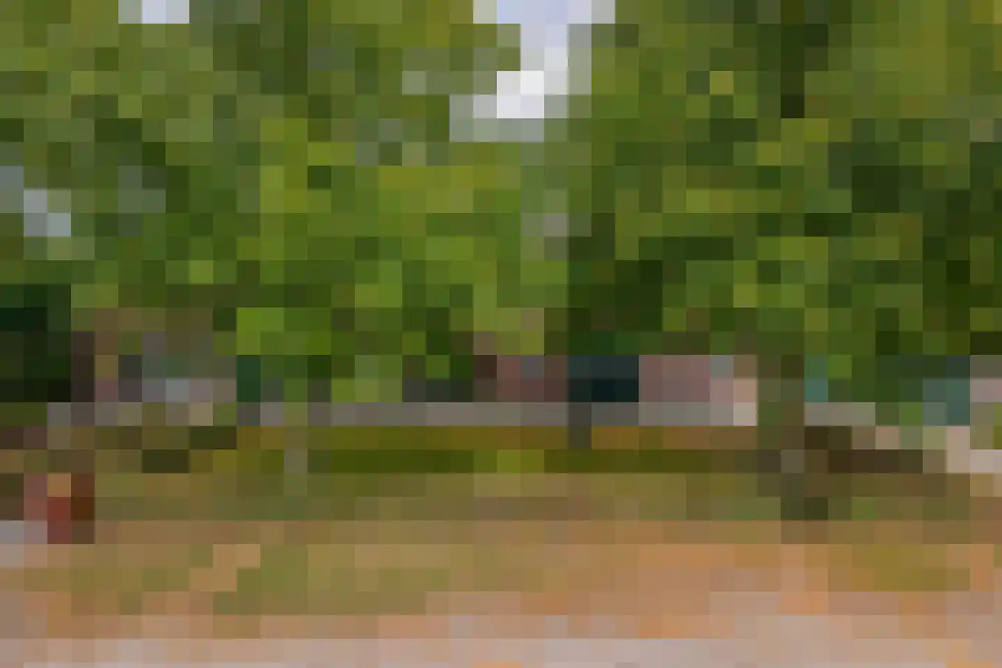 Eind 11 Riethoven thumbnail 73