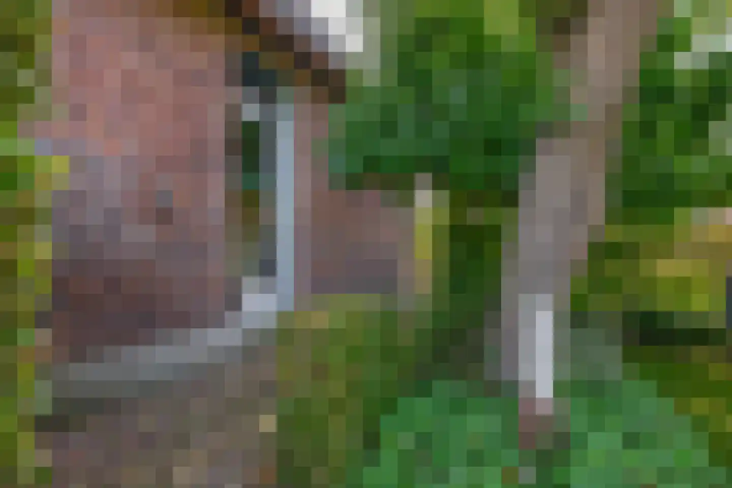 Eind 11 Riethoven thumbnail 76