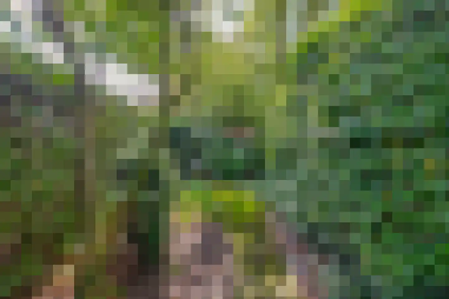 Eind 11 Riethoven thumbnail 77
