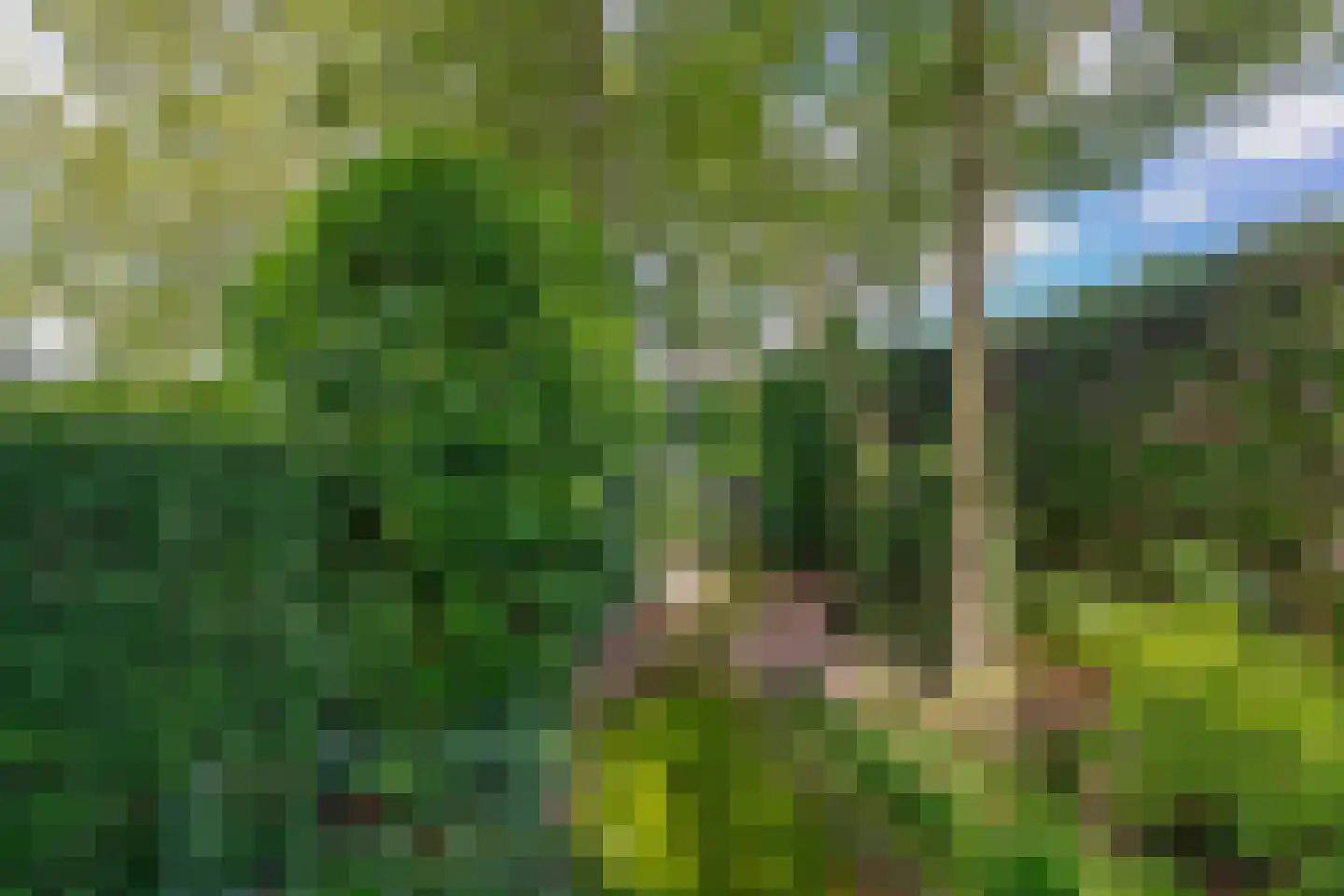 Eind 11 Riethoven thumbnail 78