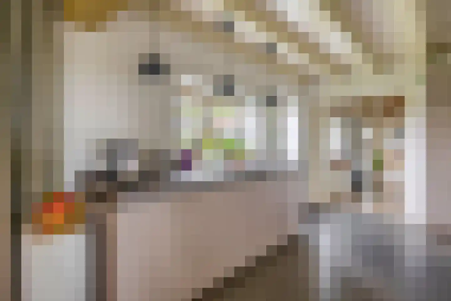 Eind 11 Riethoven thumbnail 8