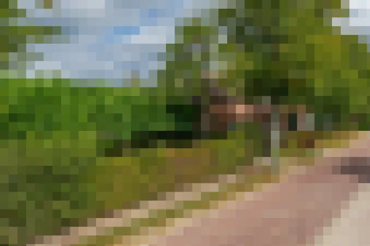 Eind 11 Riethoven thumbnail 80