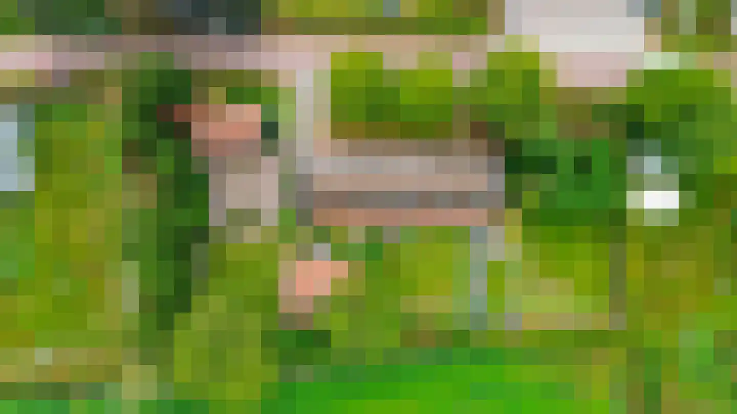 Eind 11 Riethoven thumbnail 82
