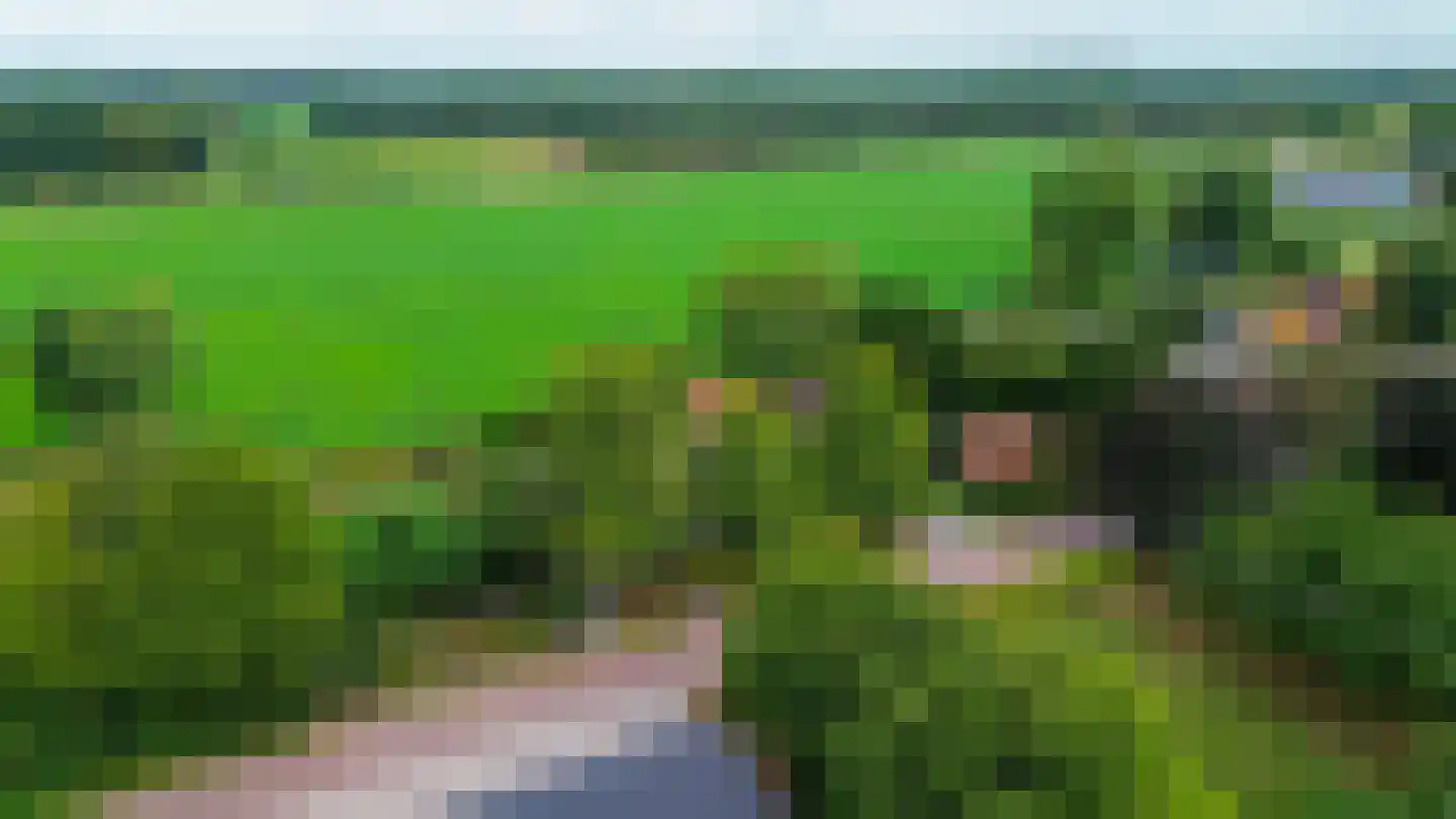 Eind 11 Riethoven thumbnail 84