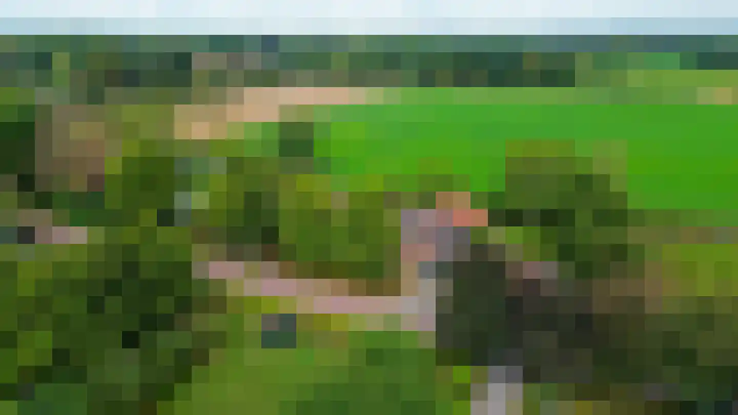 Eind 11 Riethoven thumbnail 85