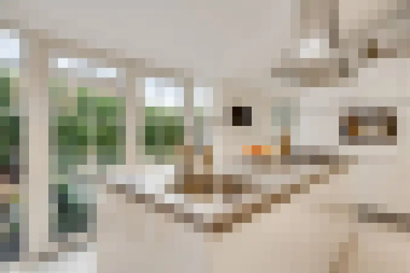 Eind 14 Thorn thumbnail 13