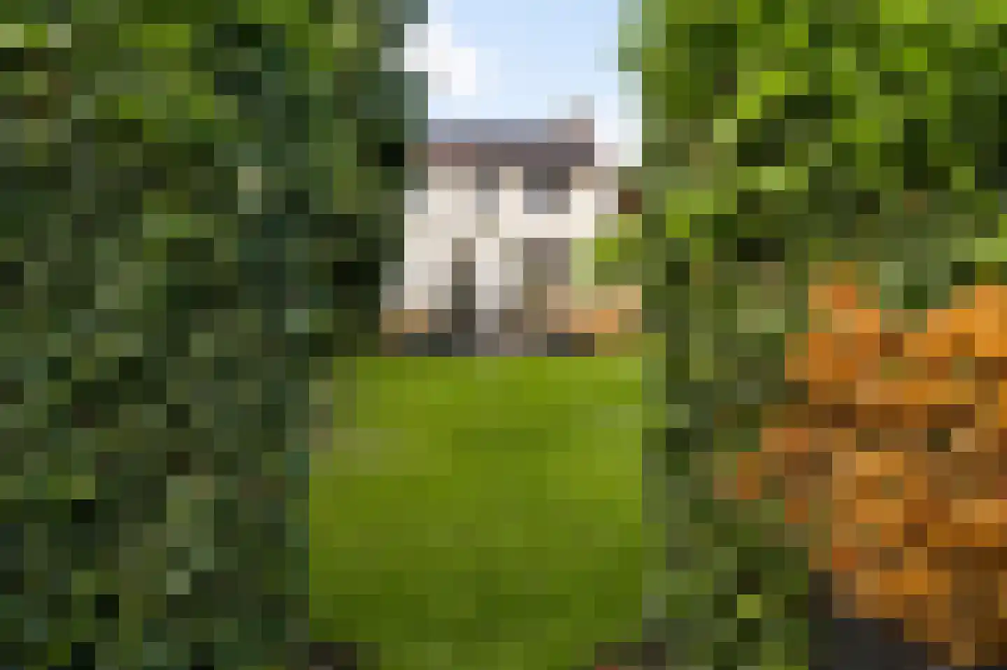 Eind 14 Thorn thumbnail 31