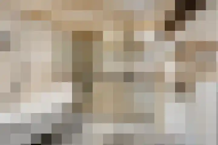 Eind 2 Son en Breugel thumbnail 10