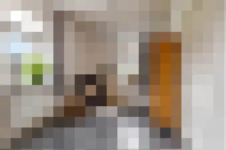 Eind 2 Son en Breugel thumbnail 14