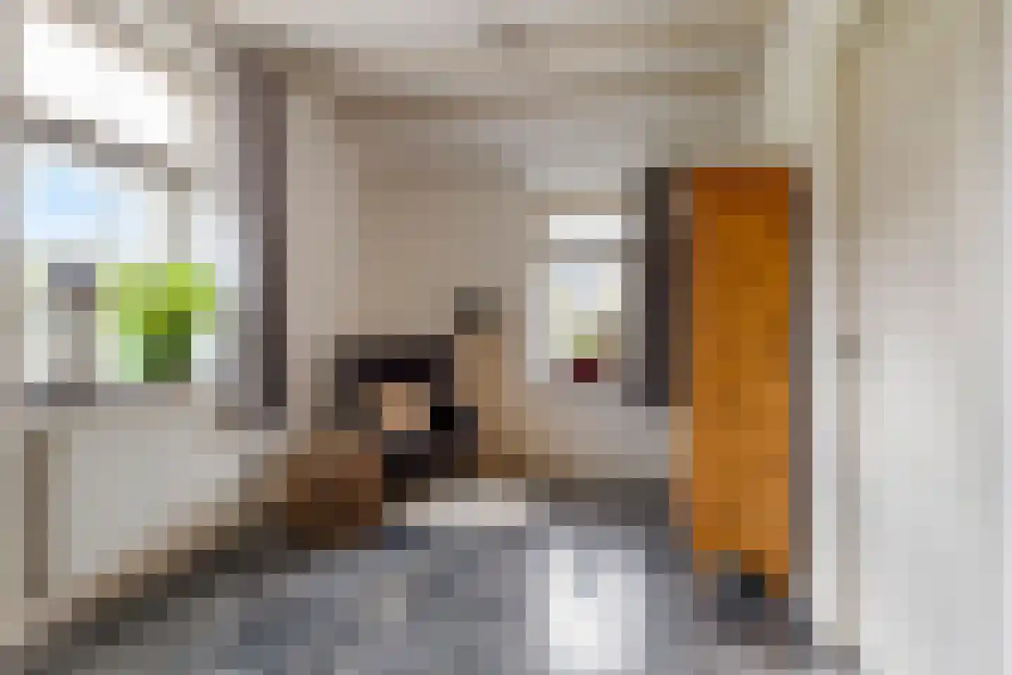 Eind 2 Son en Breugel thumbnail 14