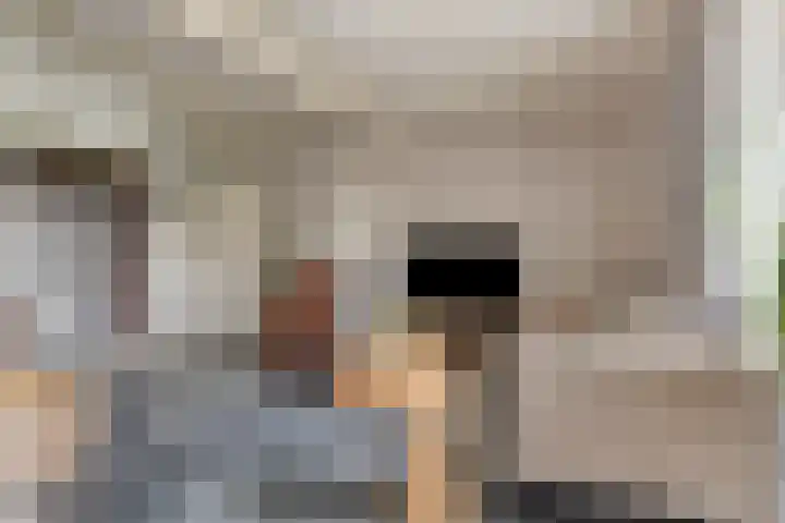 Eind 2 Son en Breugel thumbnail 15