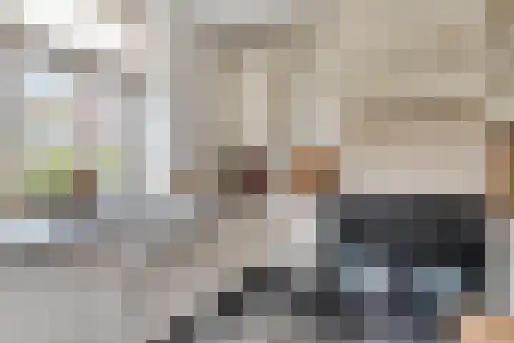 Eind 2 Son en Breugel thumbnail 20