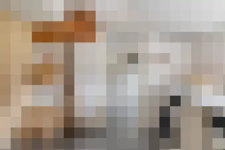 Eind 2 Son en Breugel thumbnail 22