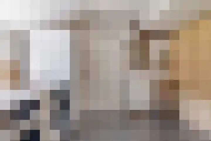 Eind 2 Son en Breugel thumbnail 23