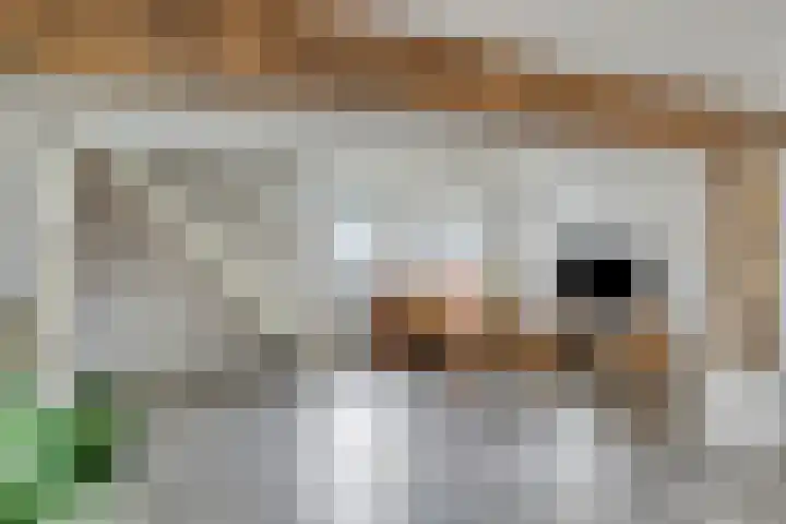Eind 2 Son en Breugel thumbnail 25