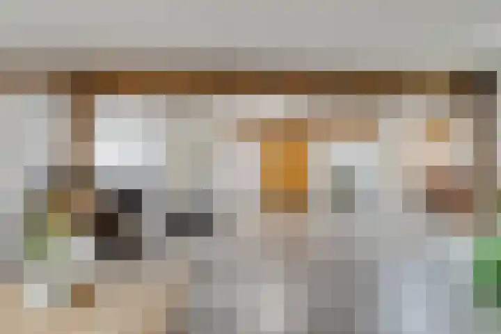Eind 2 Son en Breugel thumbnail 26