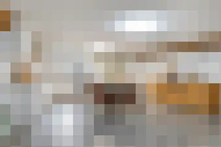 Eind 2 Son en Breugel thumbnail 27