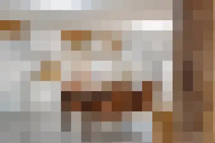 Eind 2 Son en Breugel thumbnail 28