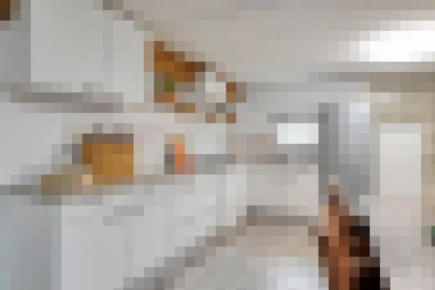 Eind 2 Son en Breugel thumbnail 30
