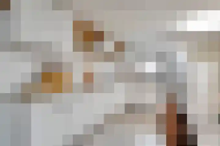 Eind 2 Son en Breugel thumbnail 30