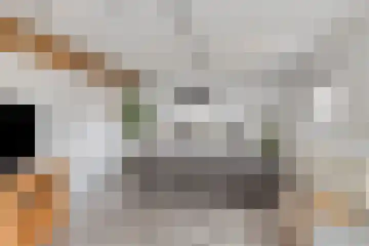 Eind 2 Son en Breugel thumbnail 31