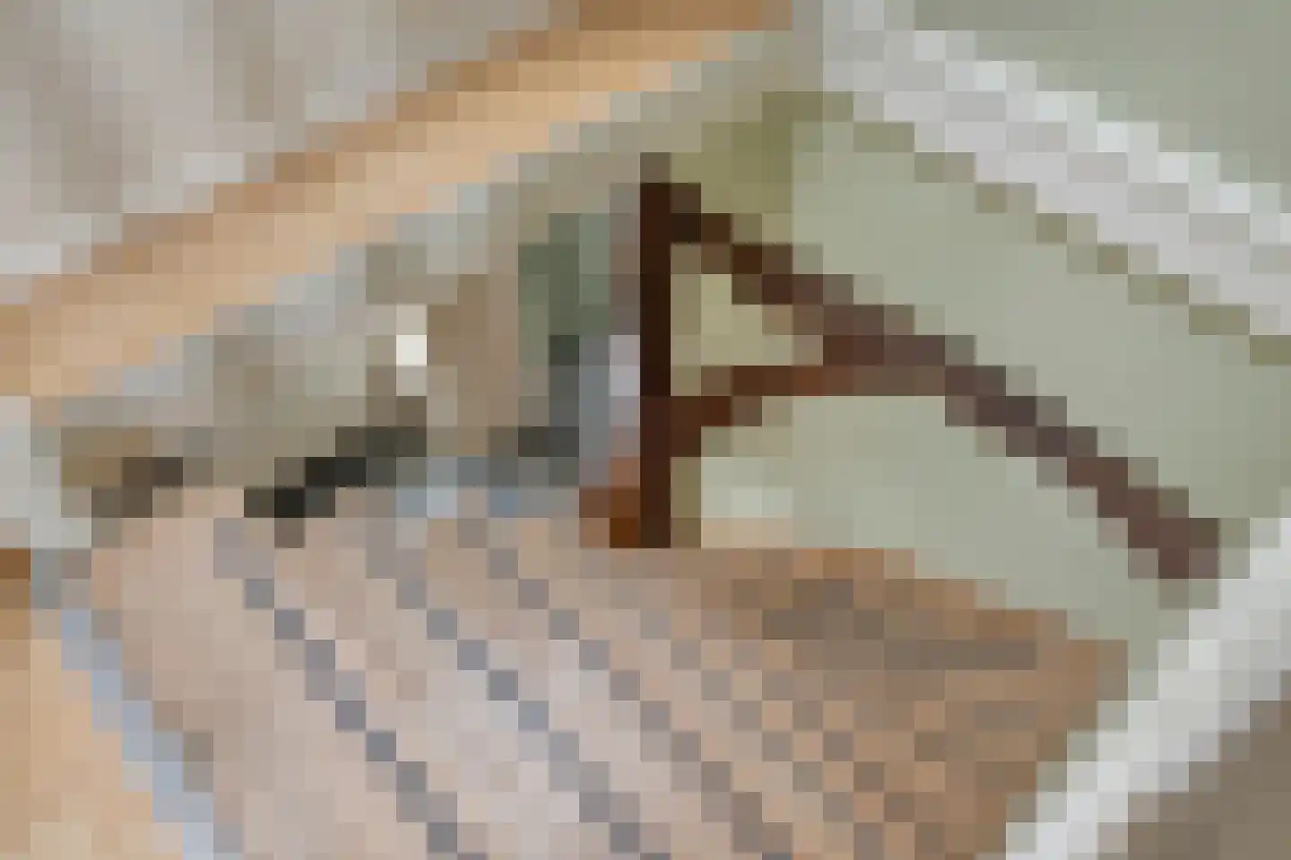 Eind 2 Son en Breugel thumbnail 36