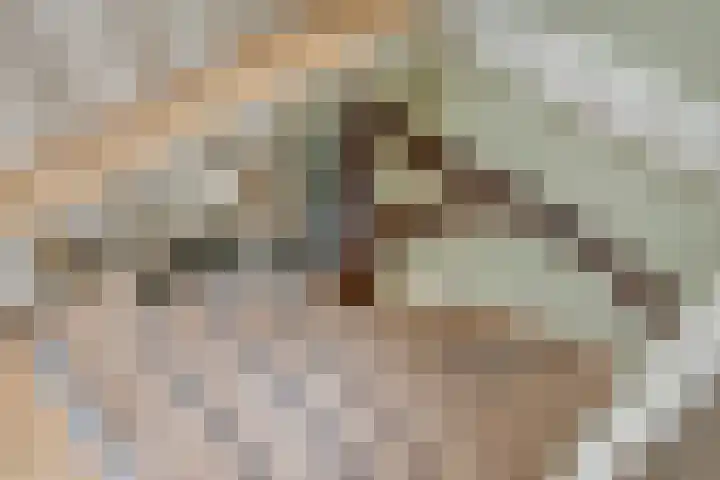 Eind 2 Son en Breugel thumbnail 36