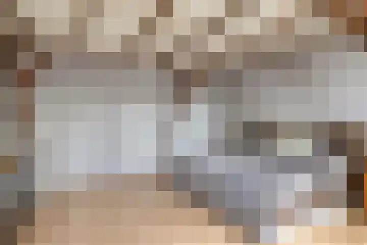 Eind 2 Son en Breugel thumbnail 37