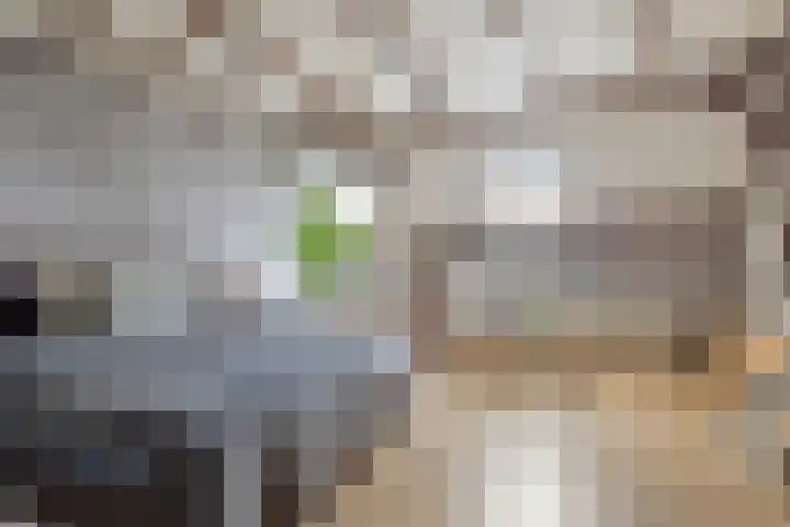 Eind 2 Son en Breugel thumbnail 38
