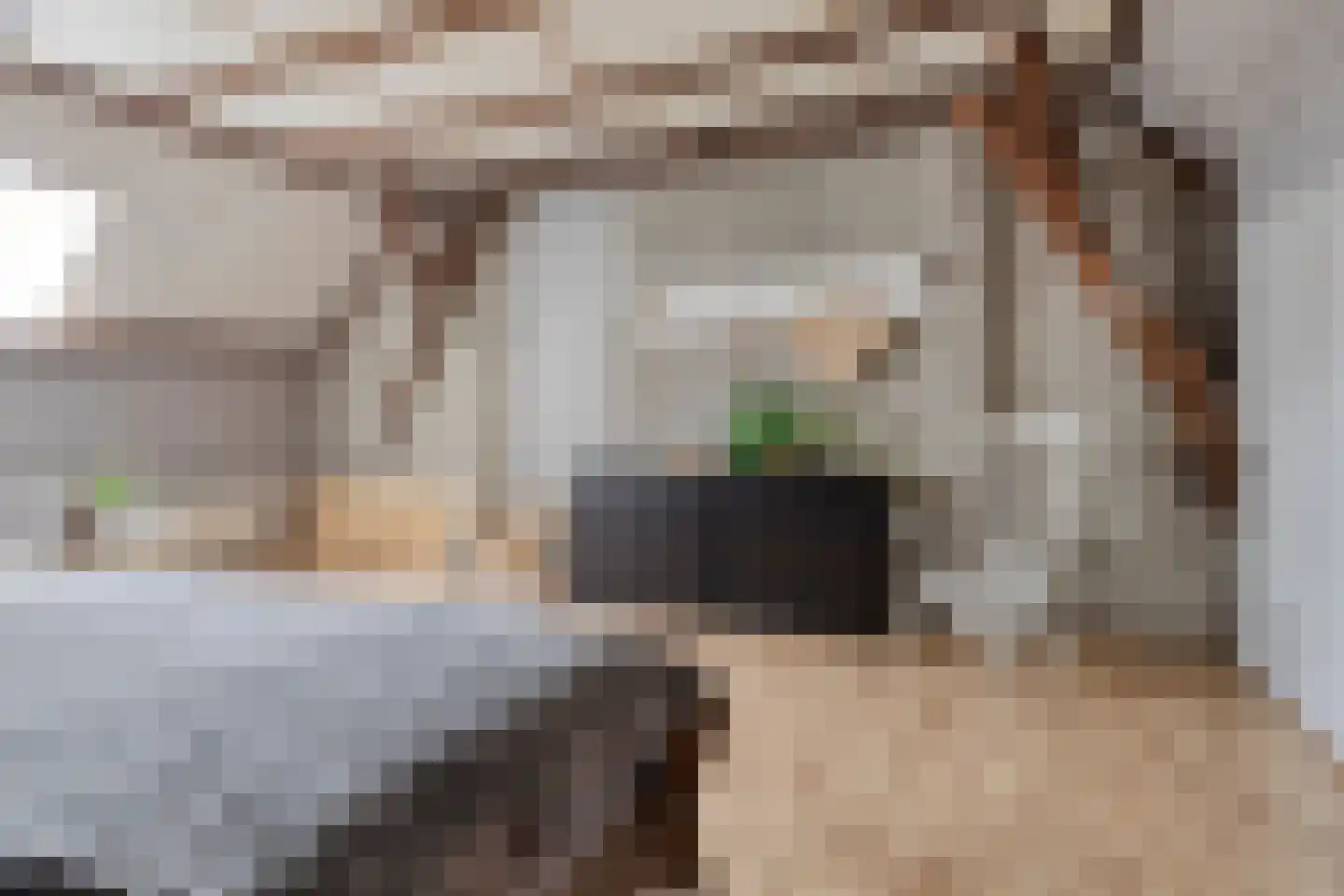 Eind 2 Son en Breugel thumbnail 39