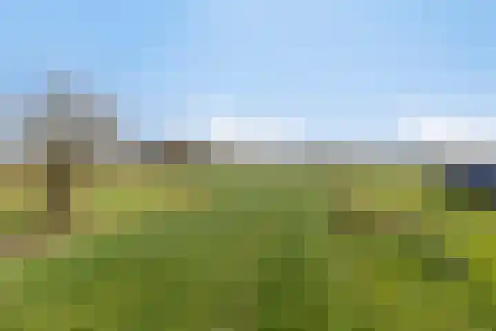 Eind 2 Son en Breugel thumbnail 4
