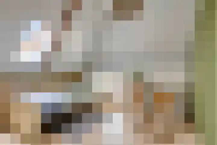 Eind 2 Son en Breugel thumbnail 40