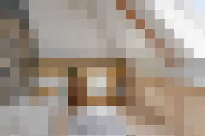 Eind 2 Son en Breugel thumbnail 41